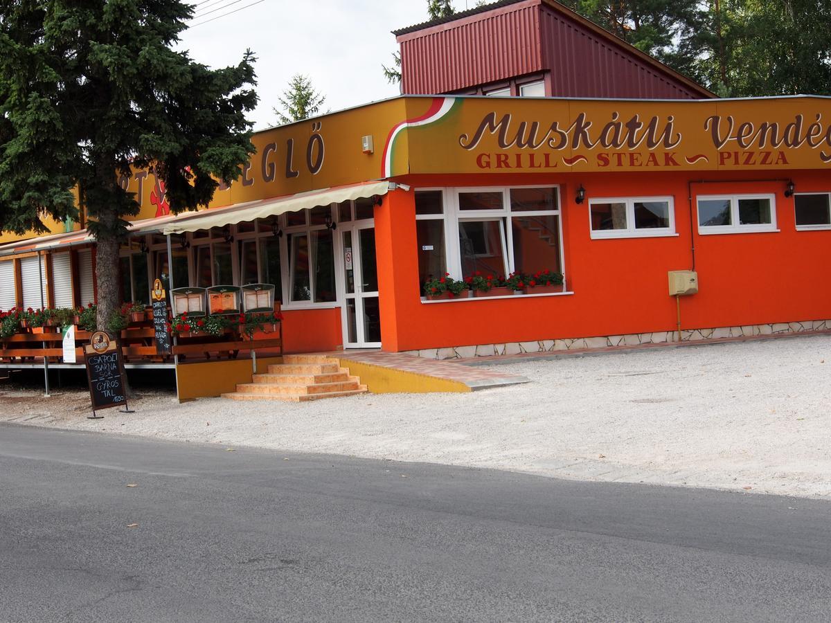 Laszlo Nyaralohaz Balatonfenyves Exterior foto